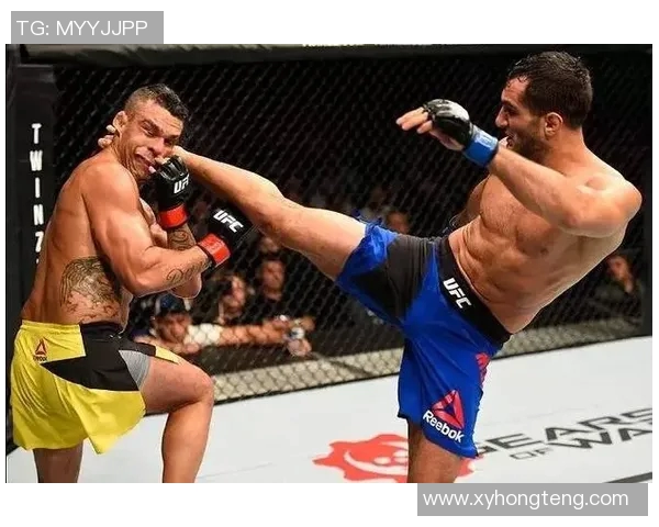 丹叔与比斯平的巅峰对决谁将成为终极格斗之王的传奇传承者 丹叔与比斯平的巅峰对决谁将成为终极格斗之王的传奇传承者