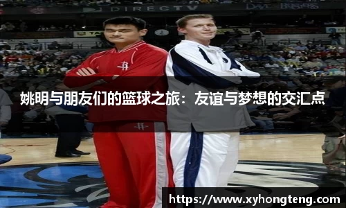 球速体育平台入口