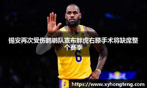 球速体育平台入口