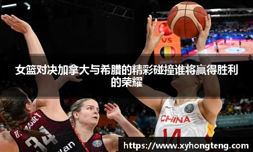 球速体育平台入口